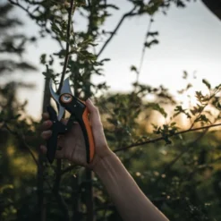 Fiskars Snoeischaar P721 -Tuinmeubel Verkoop 123 4201