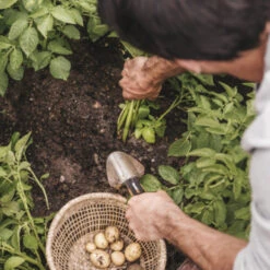 Fiskars Plantenschep -Tuinmeubel Verkoop 123 4648