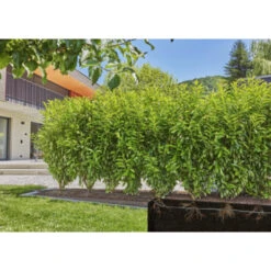 Gardena Micro Drip Druppelbuis 50 Meter Ondergronds En Bovengronds -Tuinmeubel Verkoop 123 5202