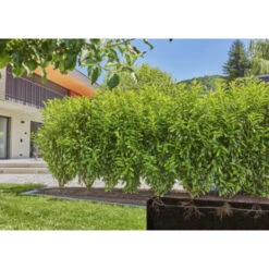 Gardena Micro Drip Startset Struik/haag 25 Meter -Tuinmeubel Verkoop 123 5210