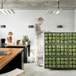 Muurhanger Verticaal Tuinieren -Tuinmeubel Verkoop 123 596